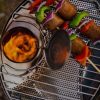 BioLite CampStove Portable Grill